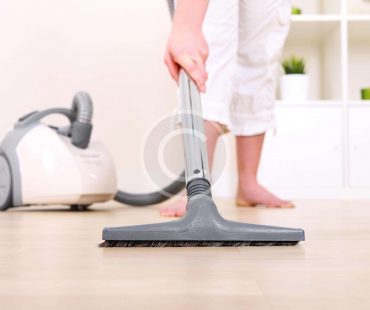 The Professional Cleaning