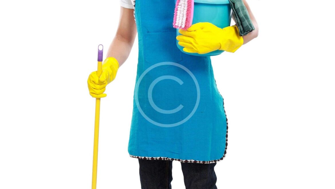 Carpet Steam Cleaning